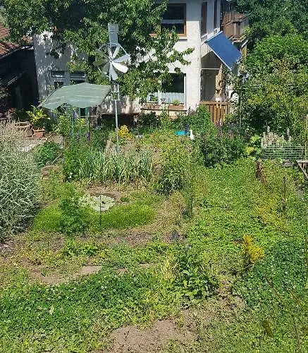 Wendel Erbach (Odenwaldkreis)